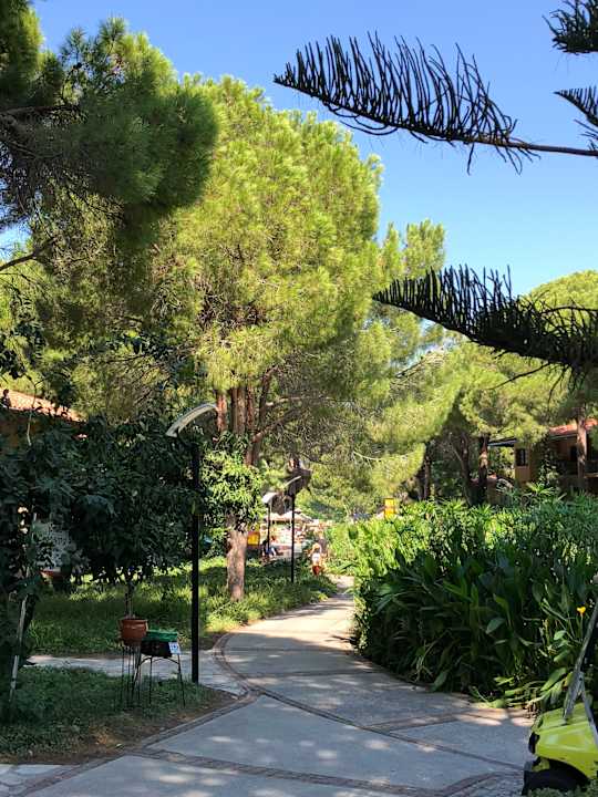 Gartenanlage Asteria Family Belek