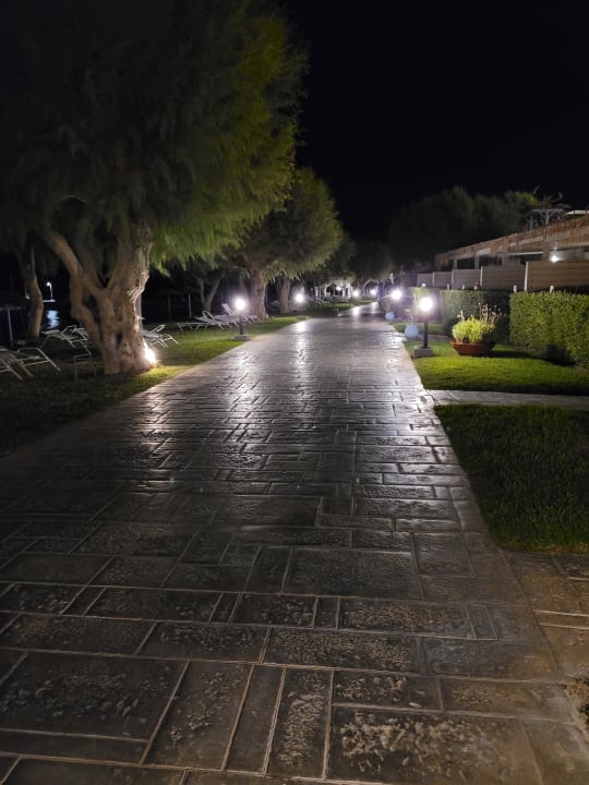 Gartenanlage TUI BLUE Oceanis Beach and Spa Resort