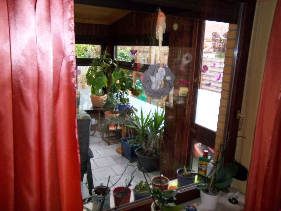 Wintergarten Ferienwohnung Umlandt