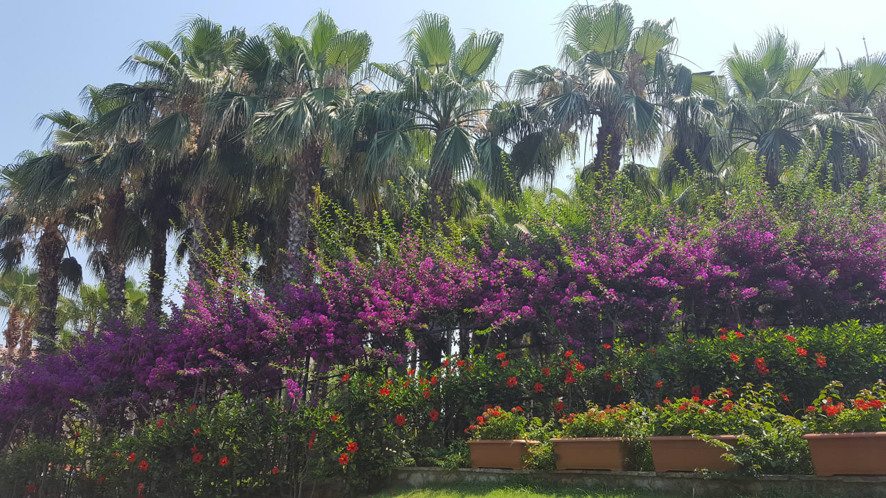 Gartenanlage Miramare Queen Hotel