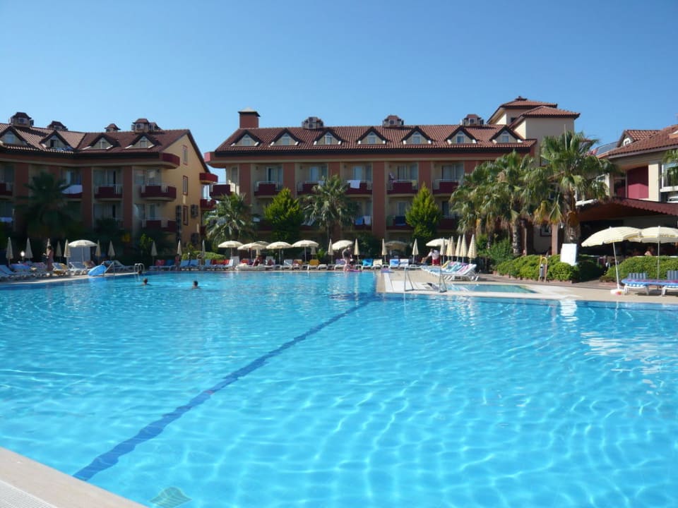 Morgens um 8.00 Uhr ... Hotel Orfeus Park