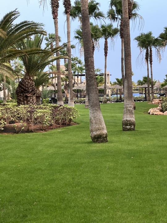 Gartenanlage Hotel Riu Touareg
