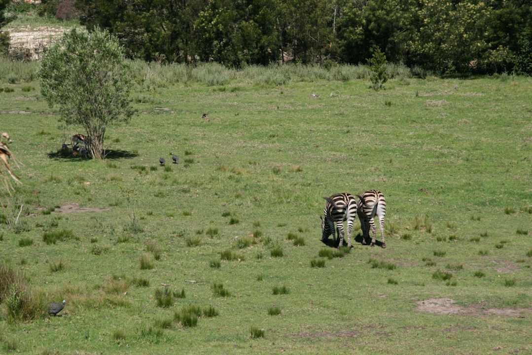 Rothman Manor Guesthouse Rothman Manor