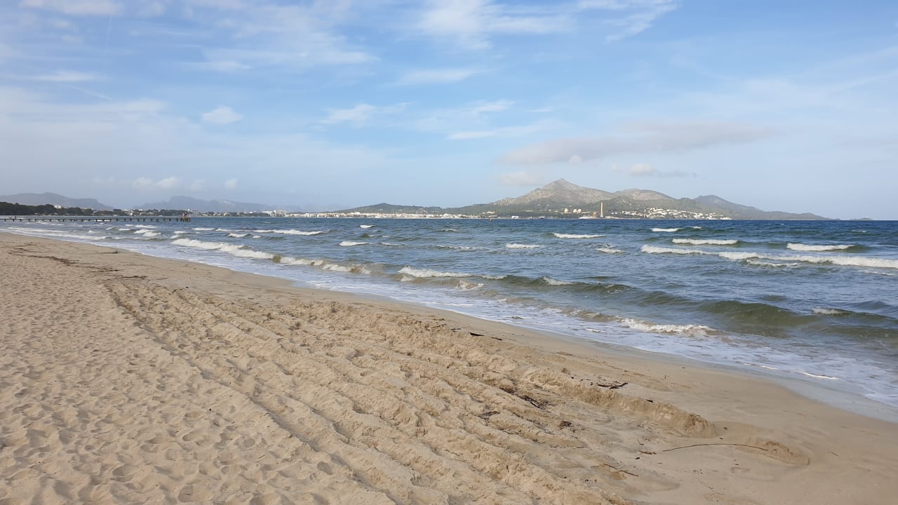 Strand JS Alcudi Mar