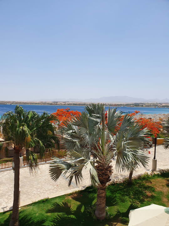 Gartenanlage Makadi Spa - Adults only