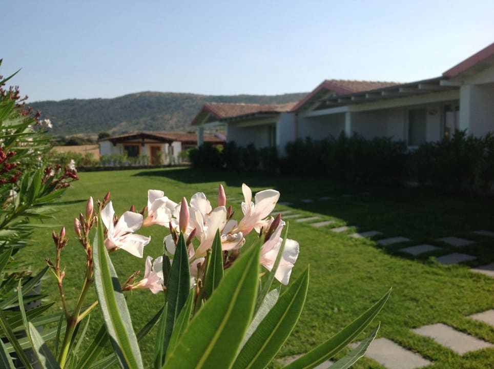 Esterno Hotel Hotel Budoni Beach