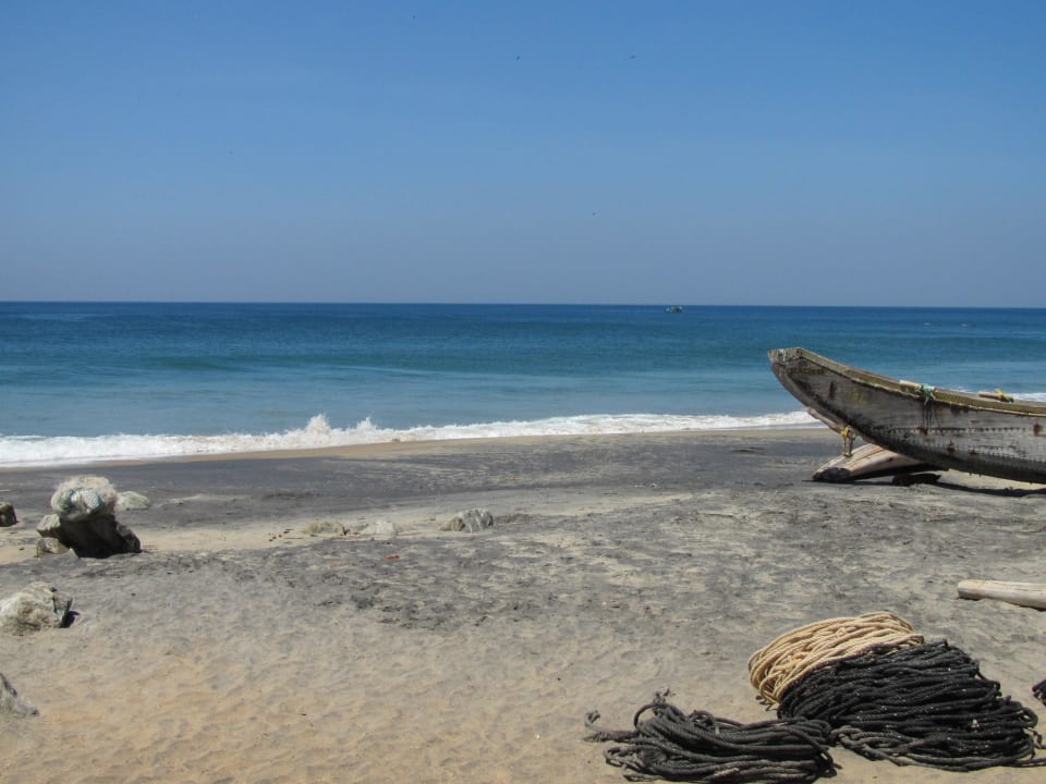 Der Odayam Beach Hotel Palm Tree Heritage