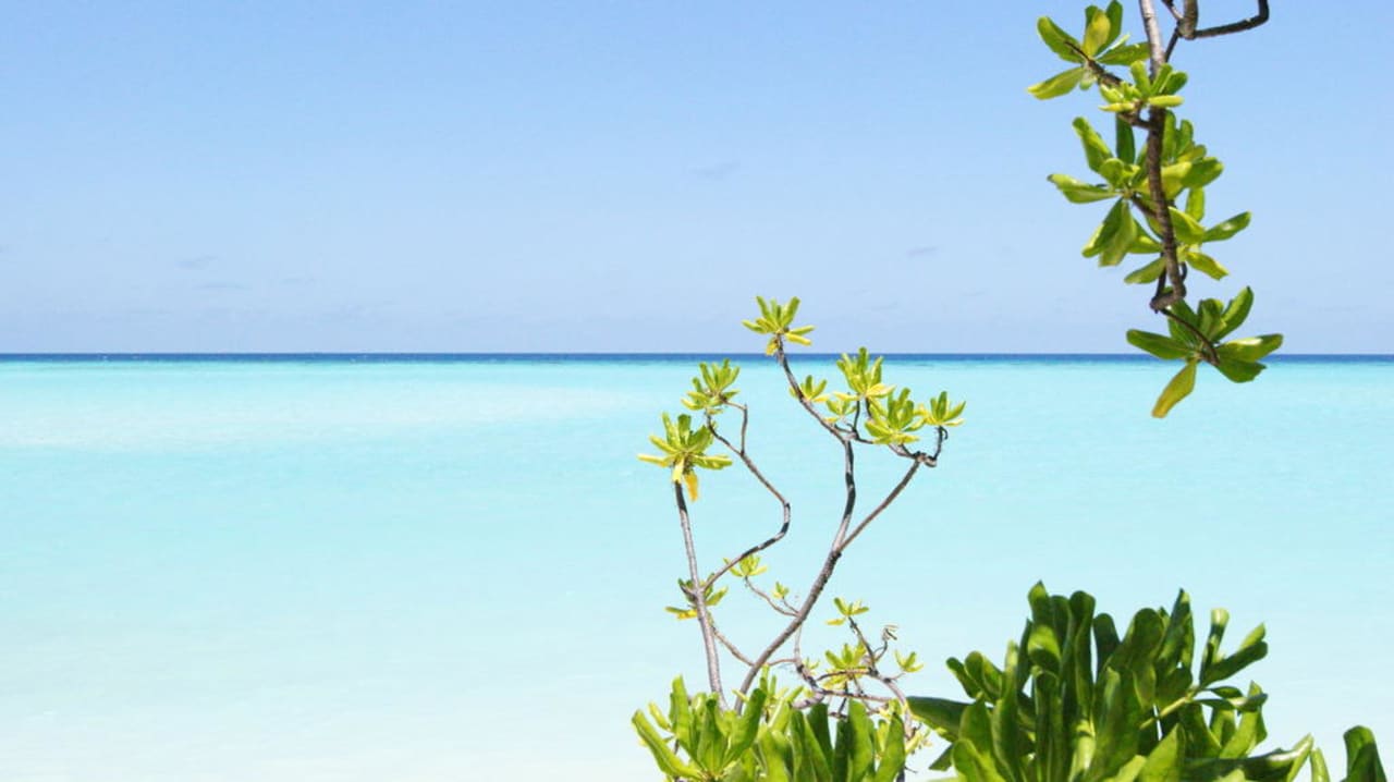 Blick von der Liege, Bungalow 108 Villa Park Sun Island