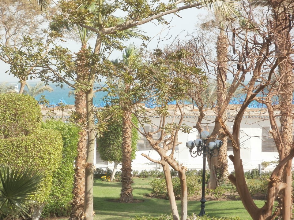 Blick zum Meer The Grand Hotel Hurghada
