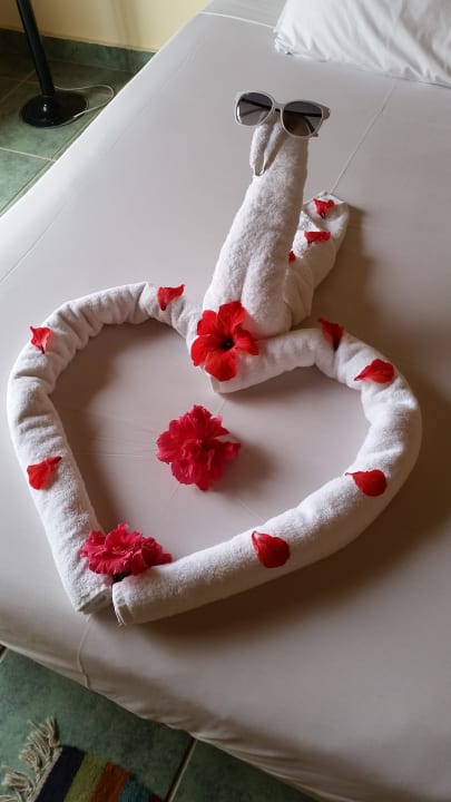 Zimmer Akassia Swiss Resort