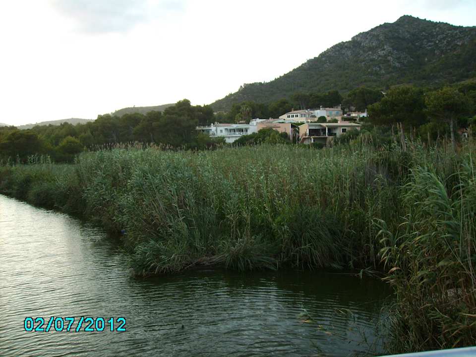 Auf einer Brücke am Strand Canyamel Sun Aparthotel