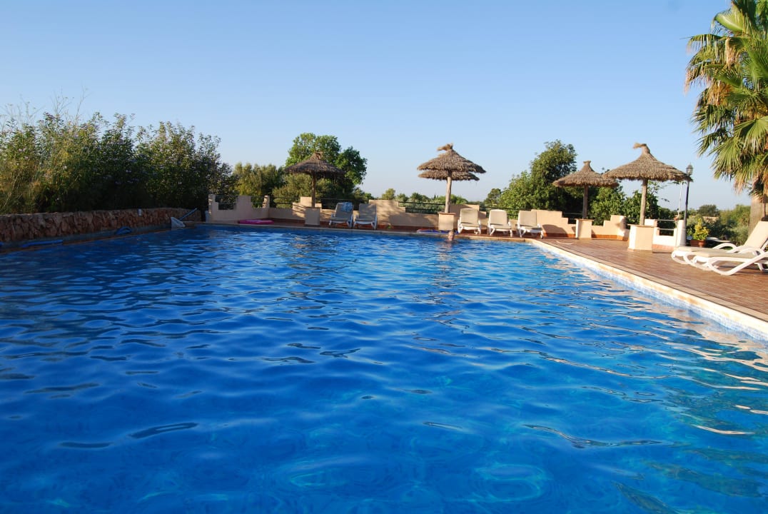 Pool am Morgen Finca Son Guardiola