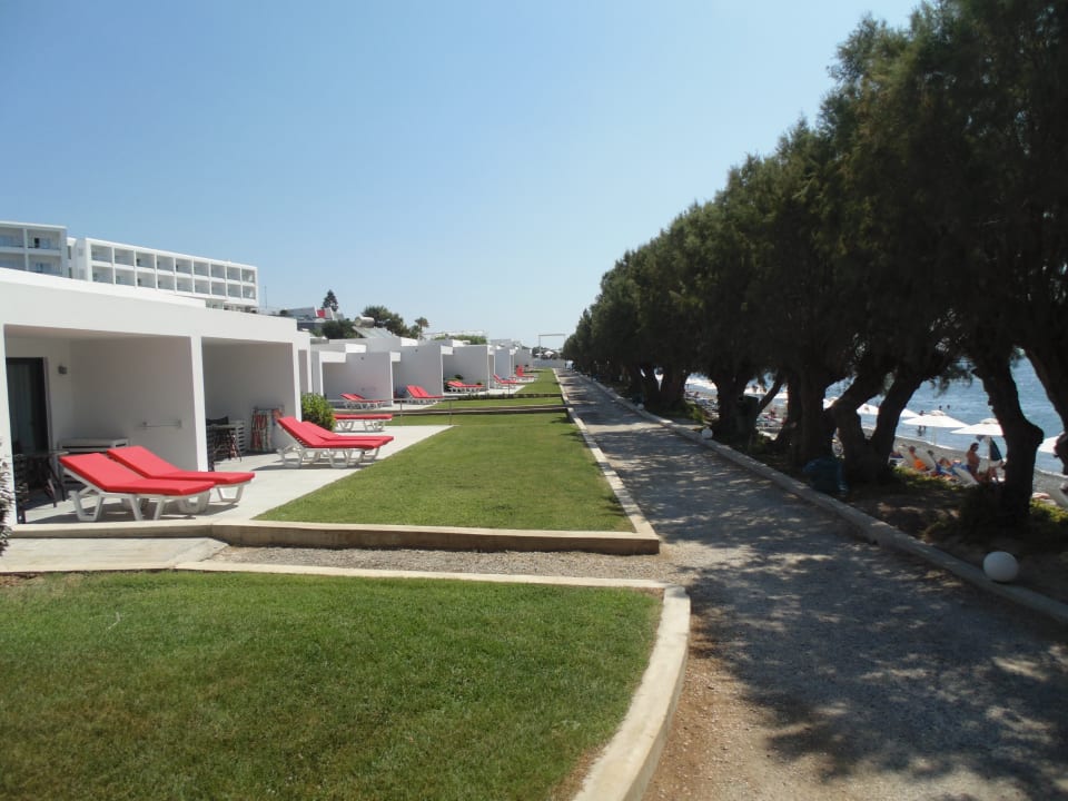 Außenansicht Dimitra Beach Hotel & Suites