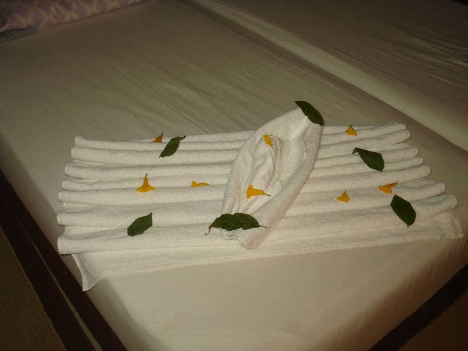 Zimmer Jaz Dar EL Madina