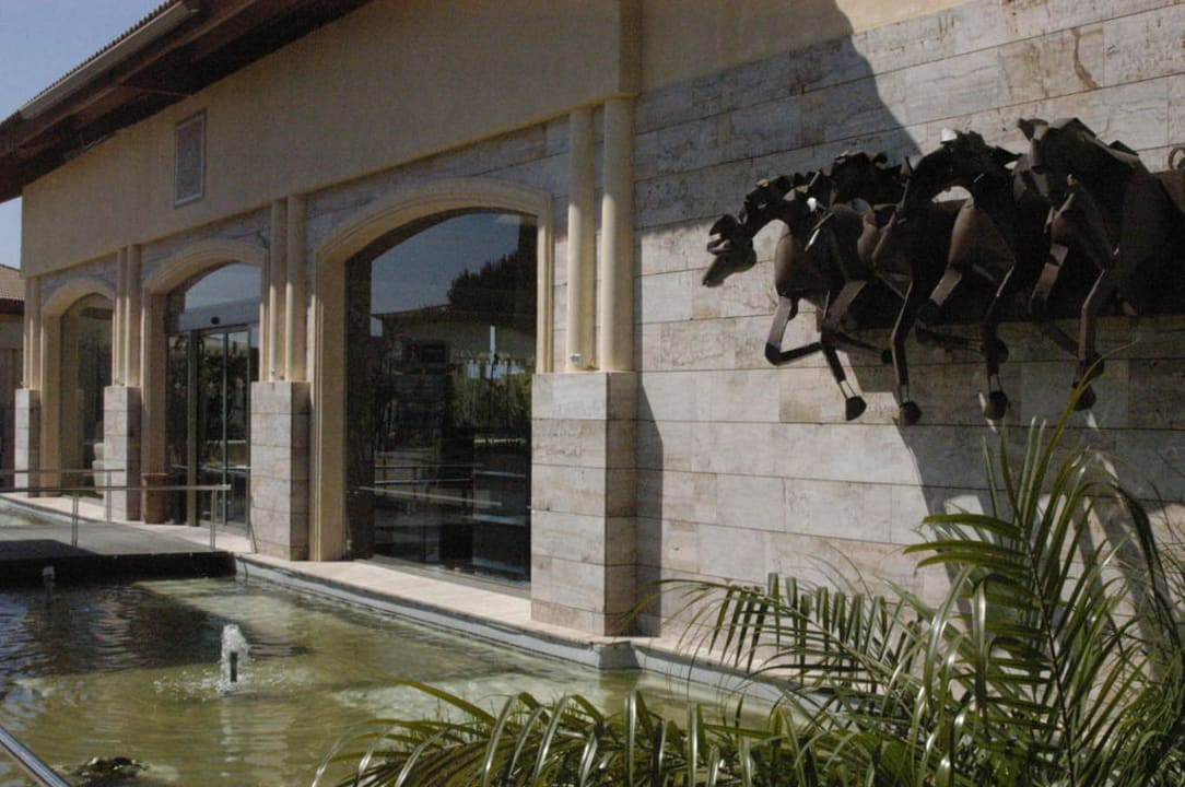 Tolle Gartengestaltung Zafiro Mallorca