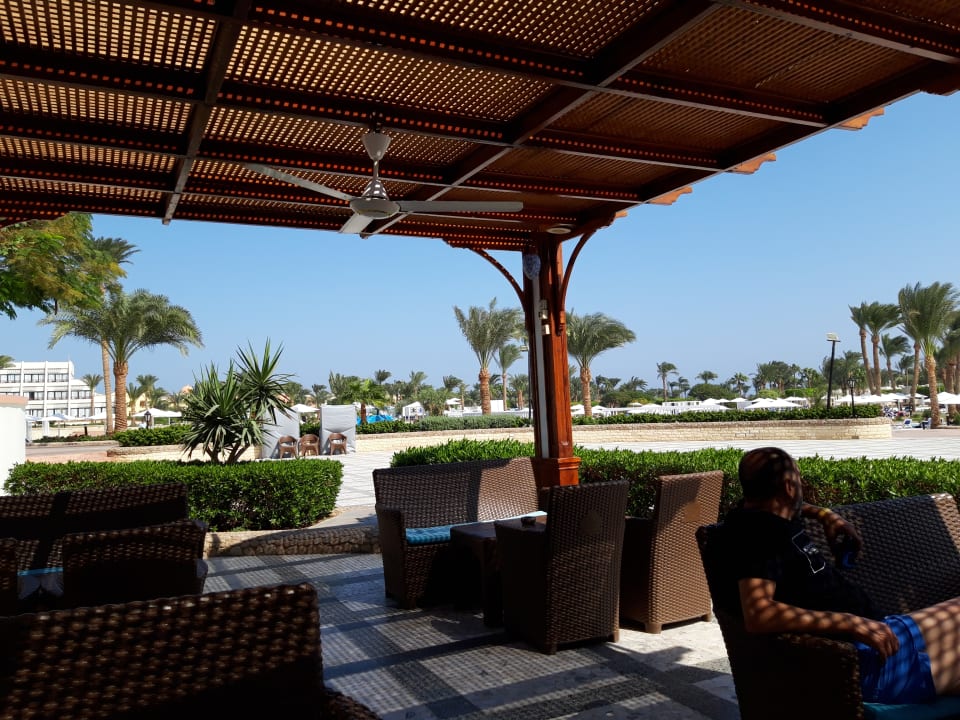 Gastro Pharaoh Azur Resort