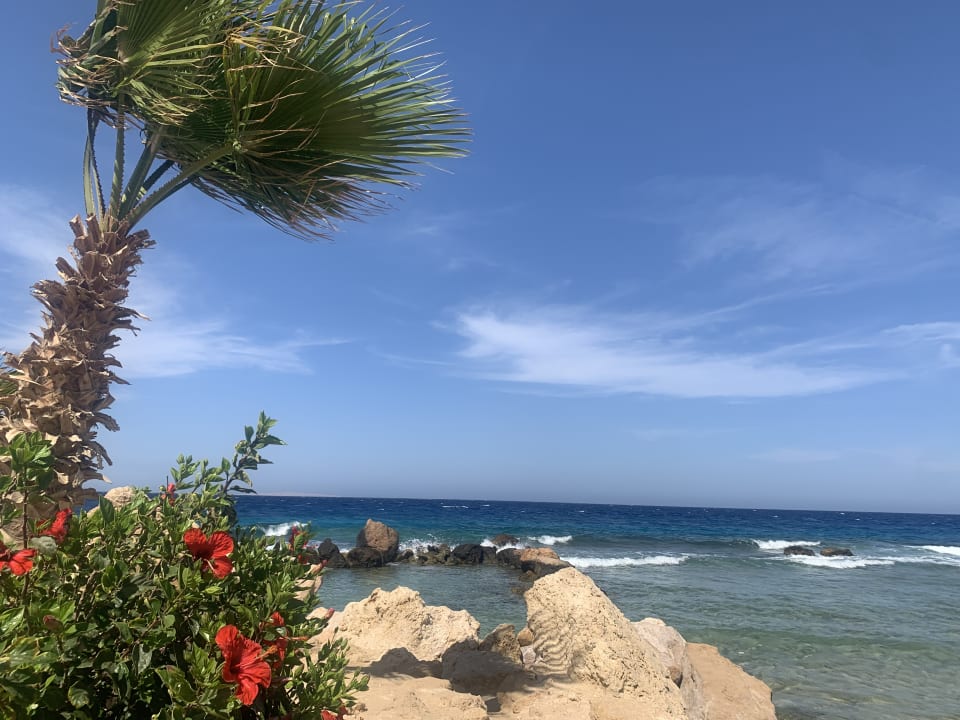 Strand Pickalbatros Citadel Resort