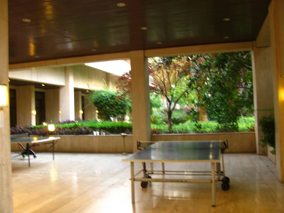 Настольнай теннис Hotel Özkaymak Falez