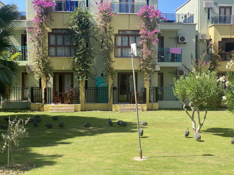 Außenansicht VONRESORT Golden Beach