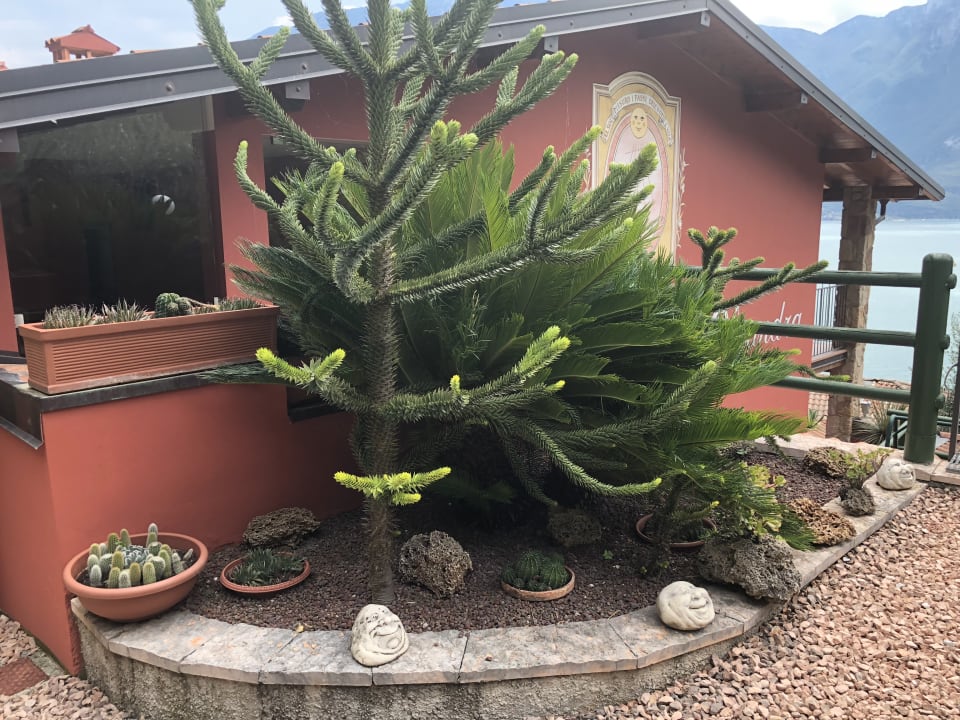 Außenansicht Relax Hotel Villa La Gardenia & Oleandra