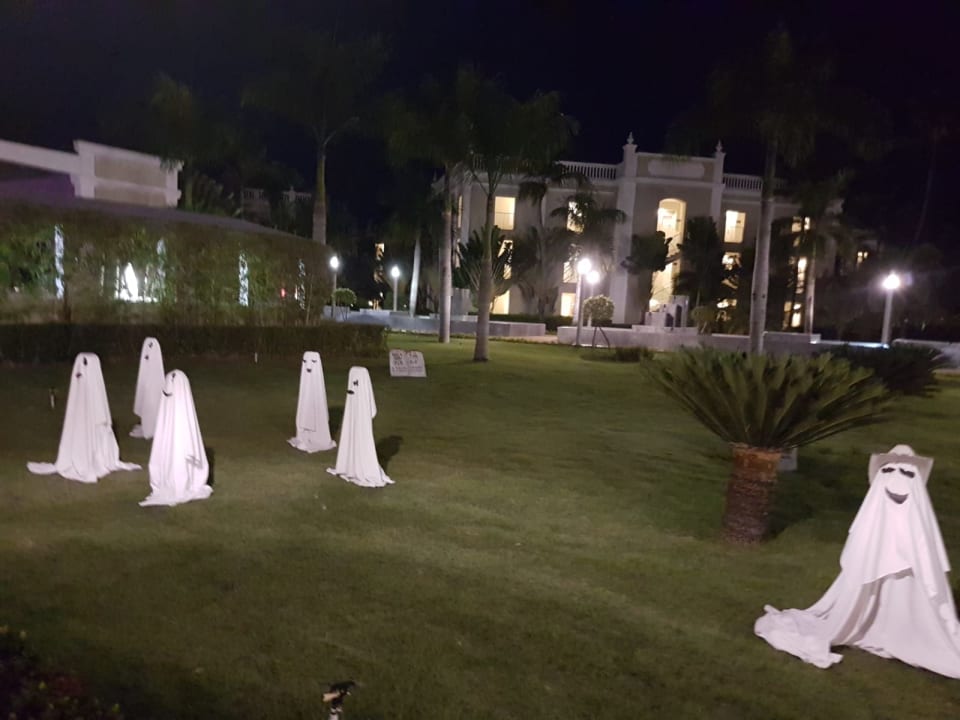 Gartenanlage Hotel Riu Palace Bavaro