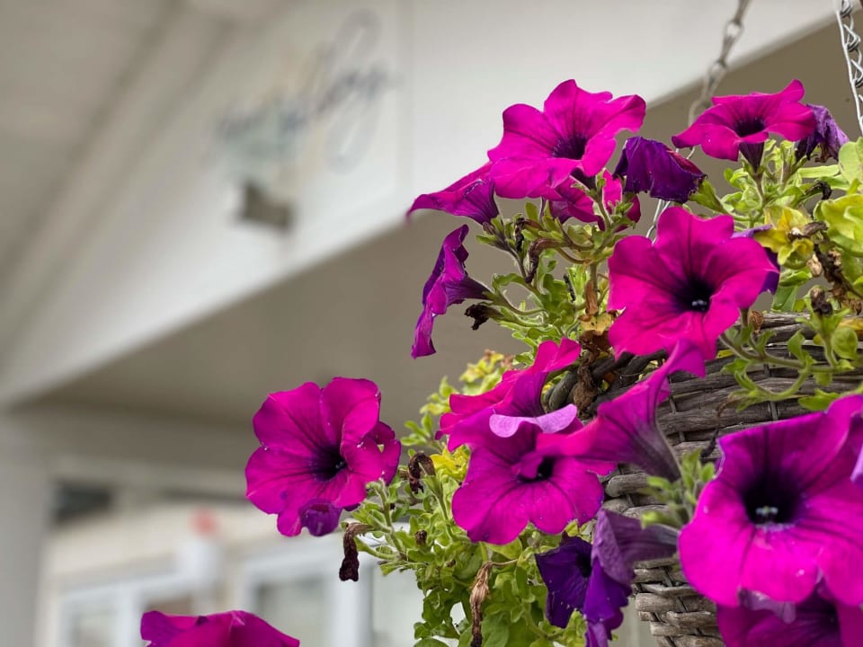 Sonstiges Haus Löhrberg