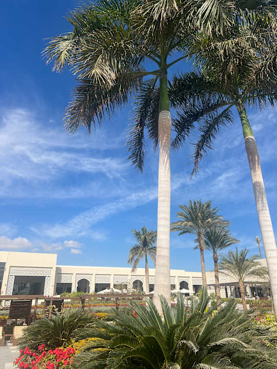 Außenansicht Steigenberger Resort Ras Soma