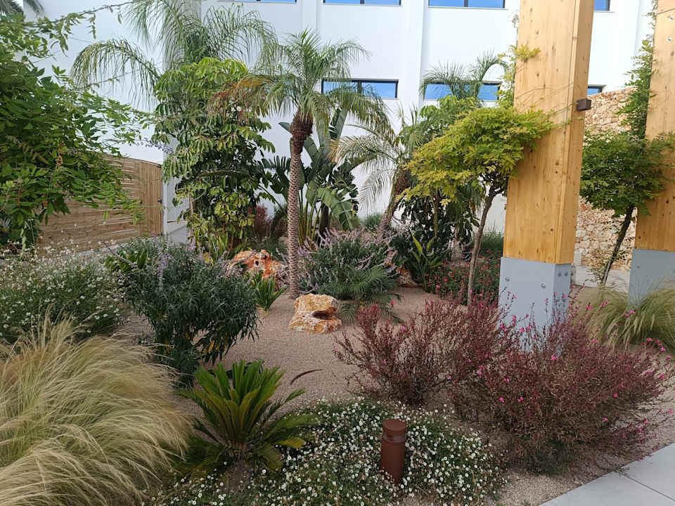 Gartenanlage Hipotels Flamenco