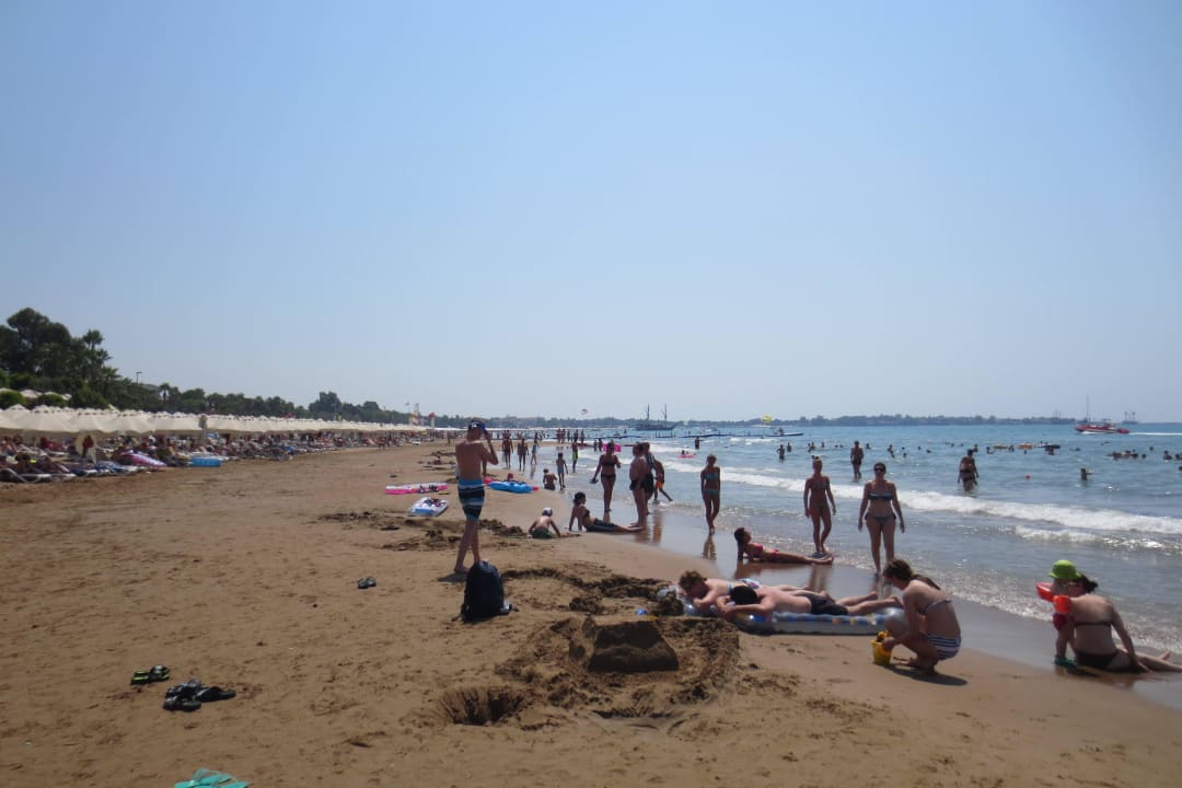 Strand Arum Barut Collection