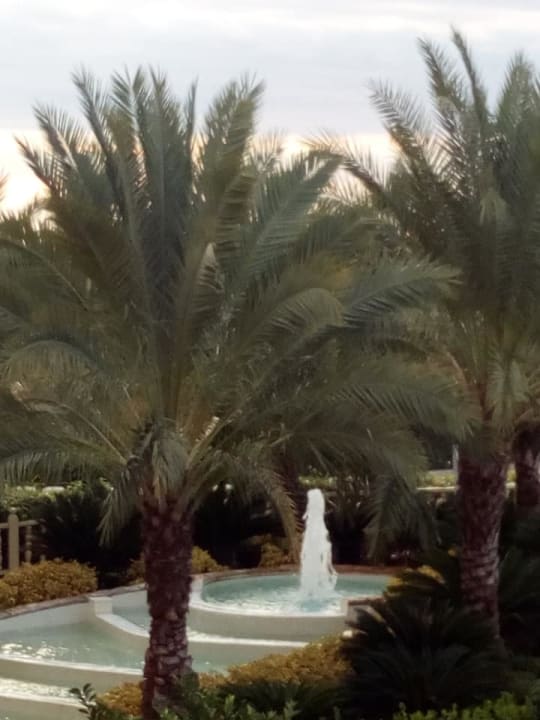 Gartenanlage Royal Holiday Palace