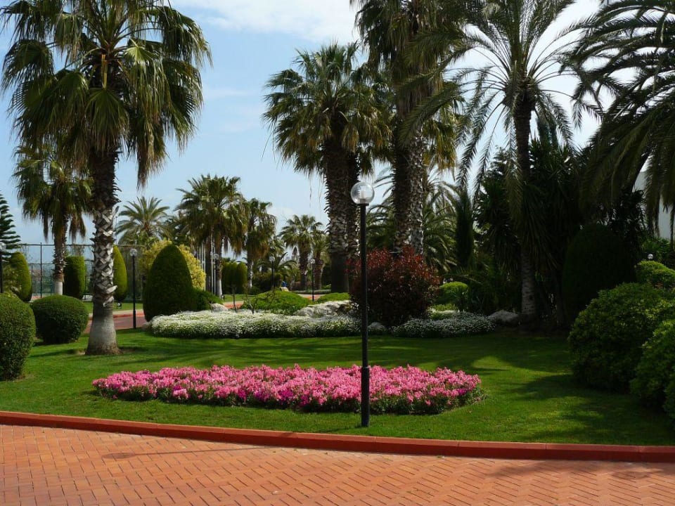 Hoteleinfahrt Side Star Elegance