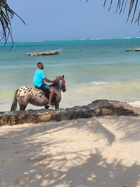 Sport & Freizeit Neptune Pwani Beach Resort & Spa