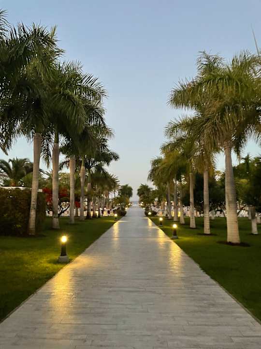 Gartenanlage Hotel Riu Palace Meloneras