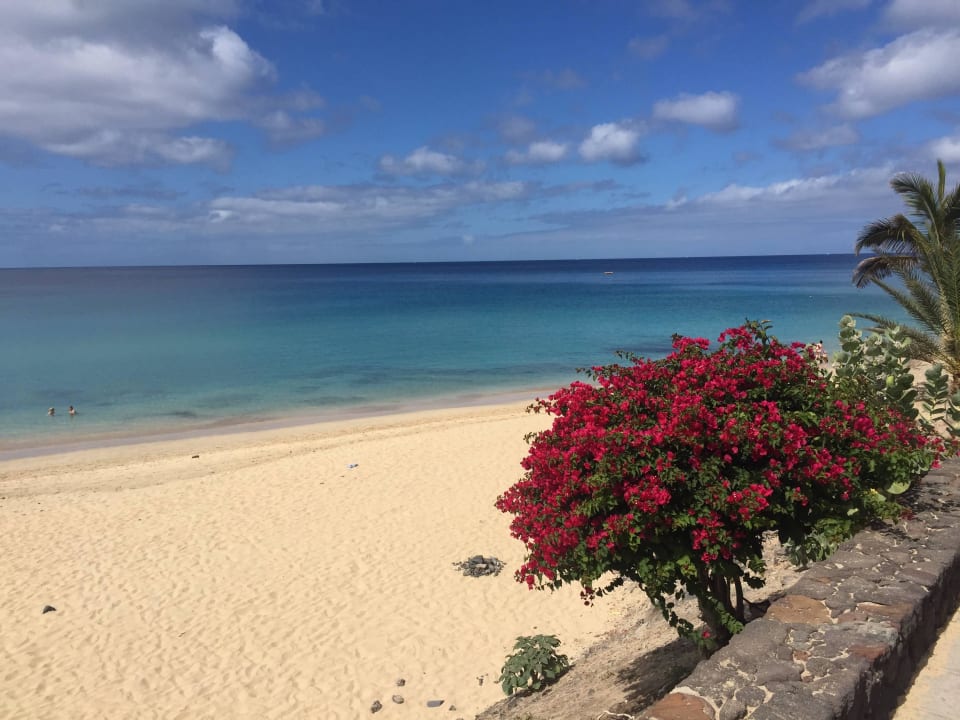 Playa de Jandia Hotel Riu Palace Jandia