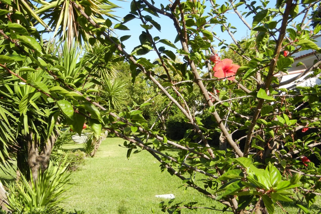 Gepflegte Anlage im Rocca Nettuno Aldiana Club Rocca Nettuno Calabria