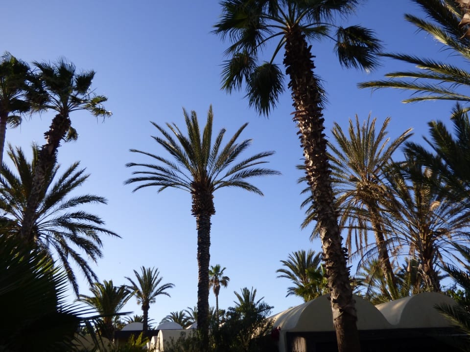 Gartenanlage Hotel Paradis Palace