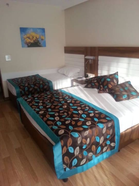 Pokój Dizalya Palm Garden