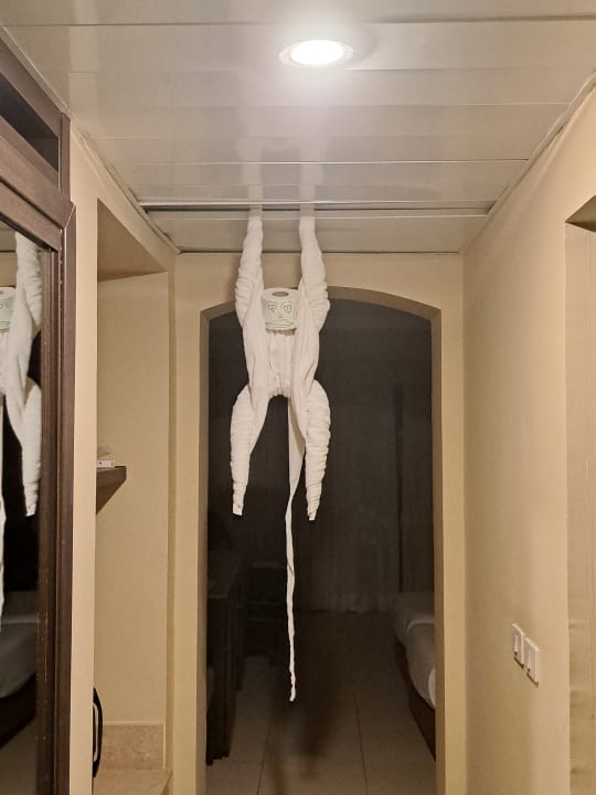 Zimmer Jaz Dar EL Madina