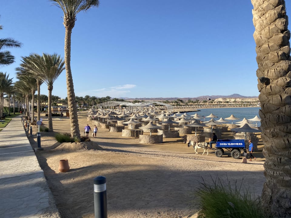 Strand Steigenberger Coraya Beach - Adults only