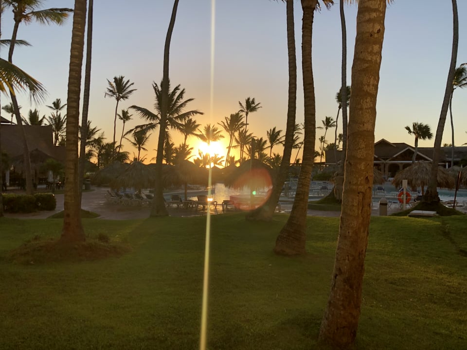 Gartenanlage Vik Hotel Arena Blanca & Cayena Beach