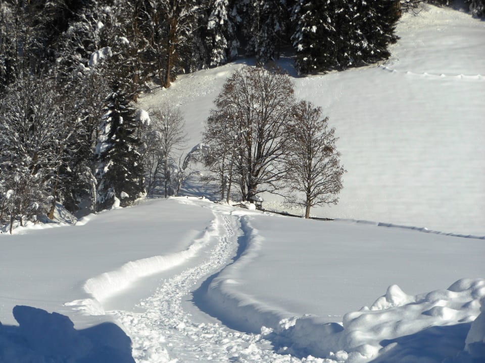 Unsere hauseigene Rodelbahn Bauernhof Paußhof
