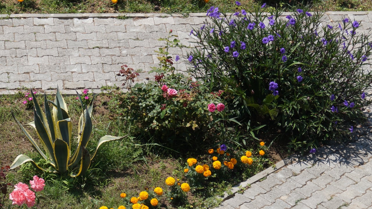 Gartenanlage Önder Yildiz Hotel