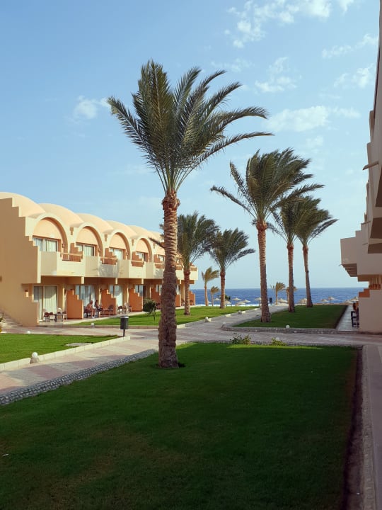 Gartenanlage Three Corners Sea Beach Resort