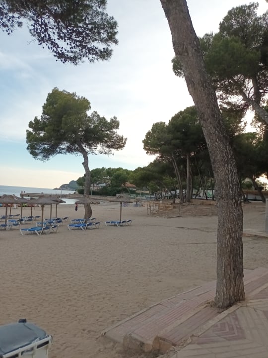 Ausblick Hotel Vibra Beverly Playa