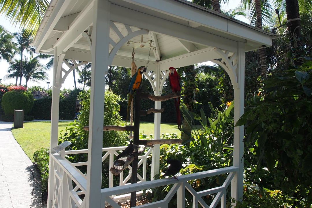 Mit Papageien The Palms Hotel & Spa