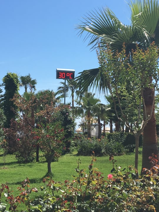 Gartenanlage Saphir Resort & Spa