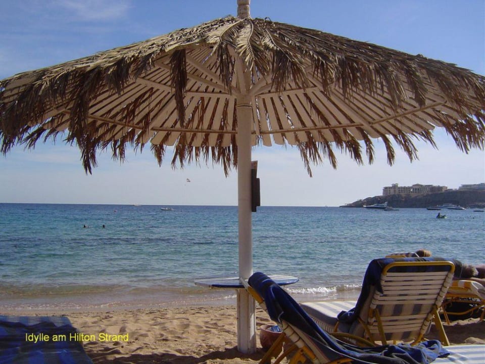 Blick auf das Meer JAZ Fayrouz