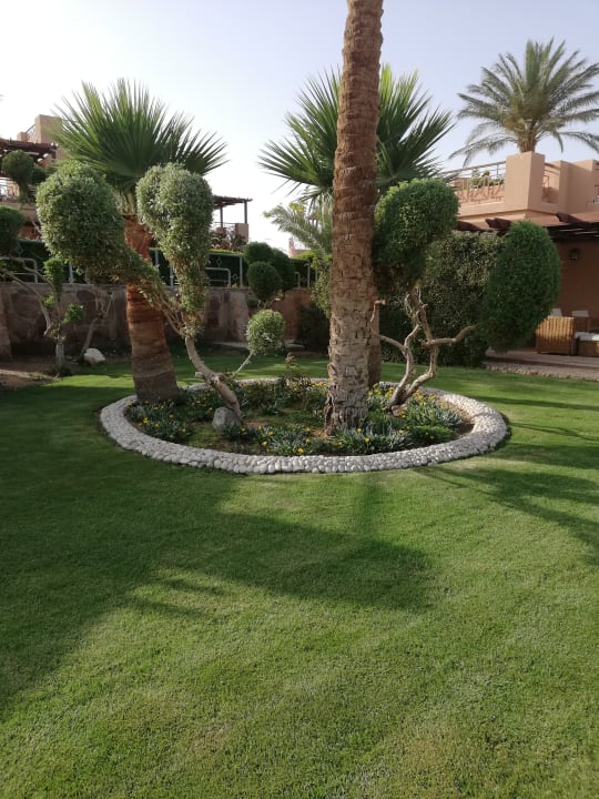 Gartenanlage Shams Prestige Abu Soma-Adults Only