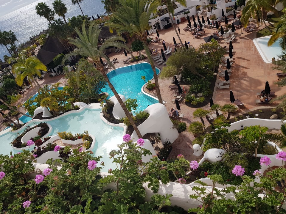 Gartenanlage Dreams Jardín Tropical