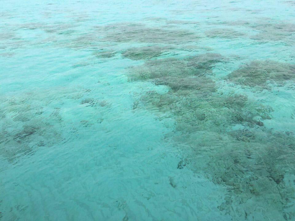 Indischer Ozean Furaveri Maldives